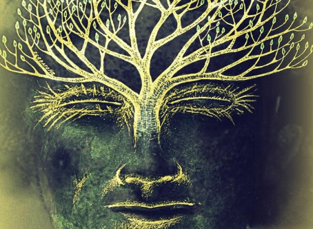 The 9 Principles for a better understanding of the concept of Awareness (by don Juan)