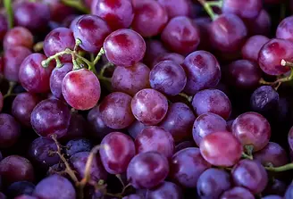 Resveratrol