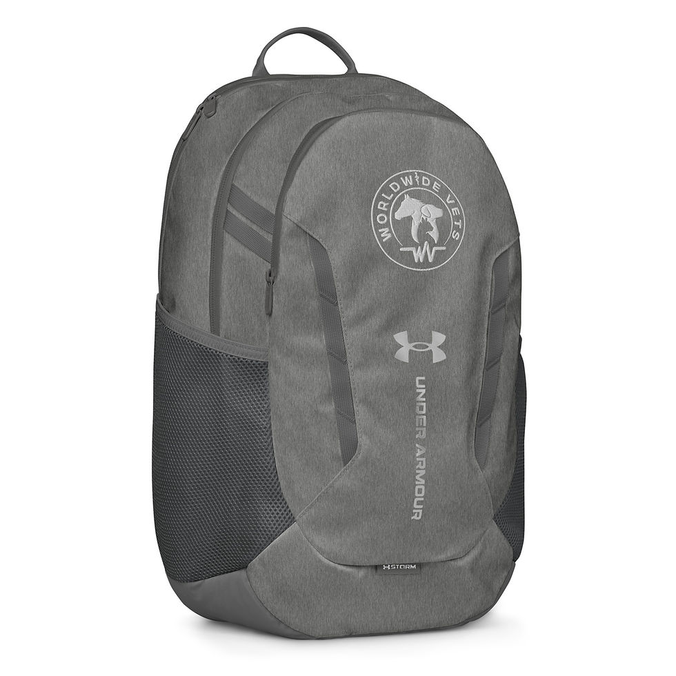 Thumbnail: Original Logo Backpack