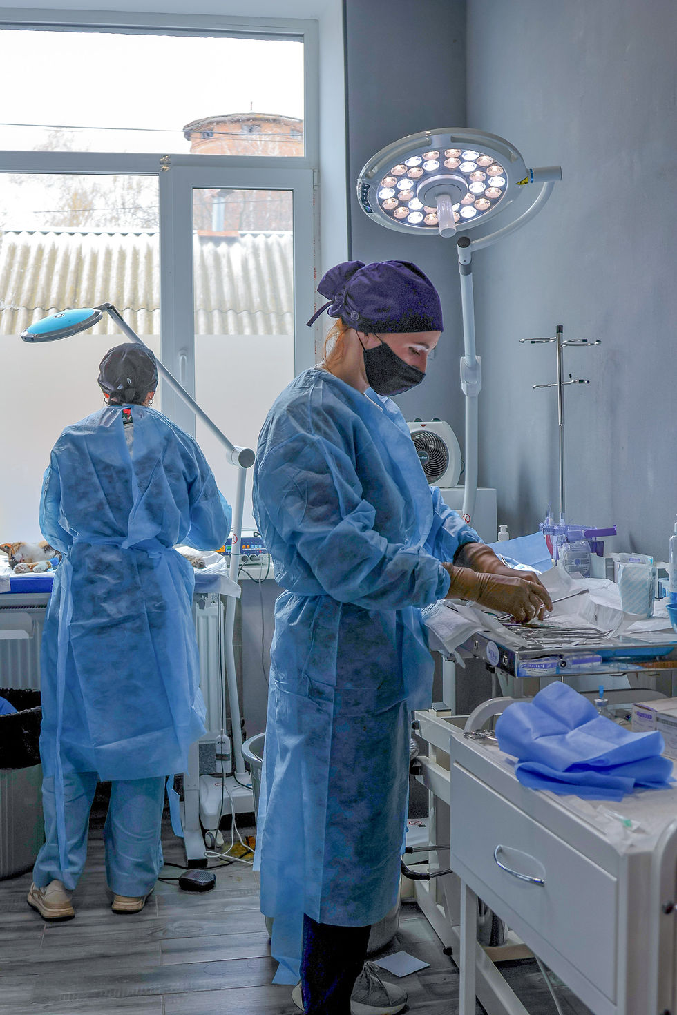 Two female vets in surgery