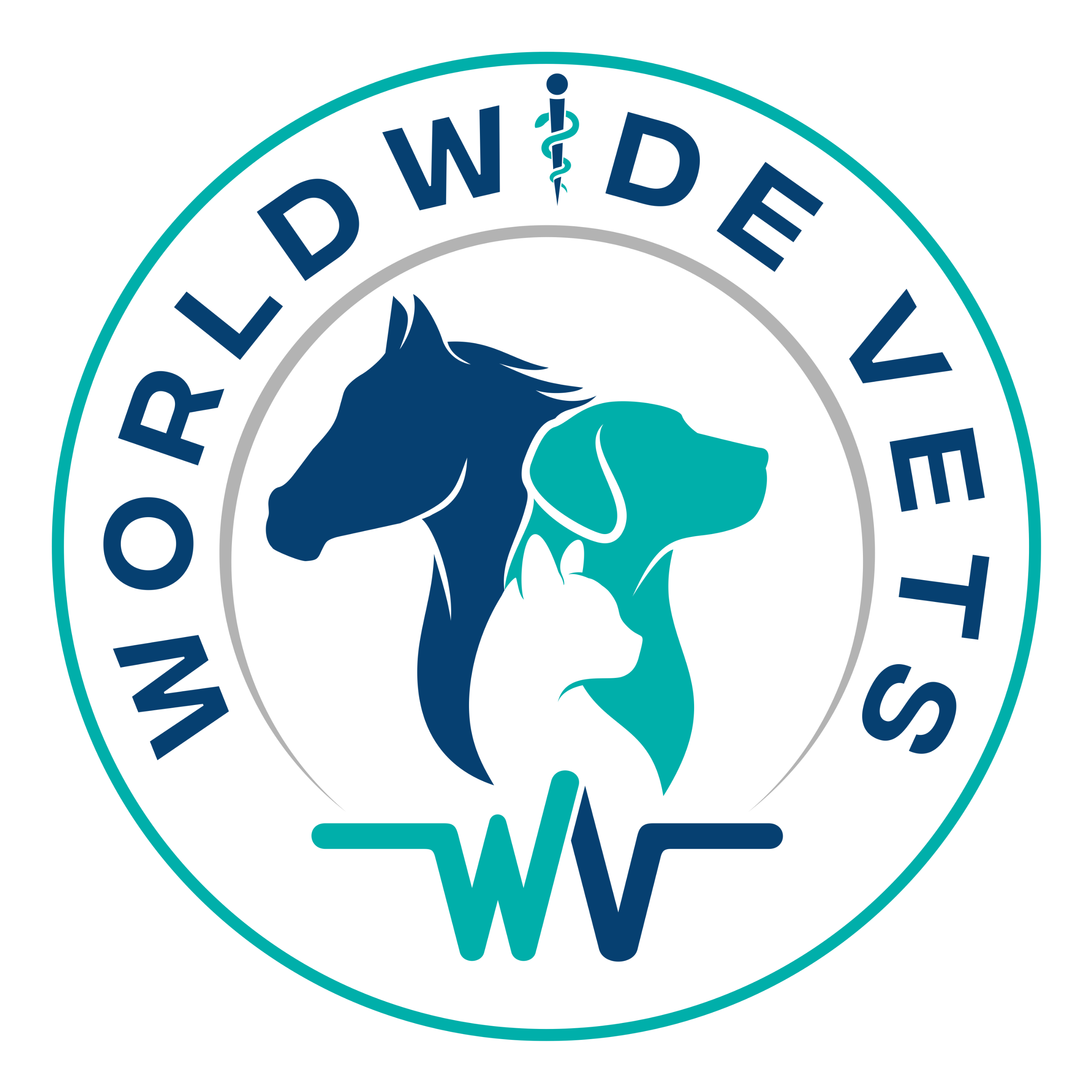 Writer: Worldwide Vets