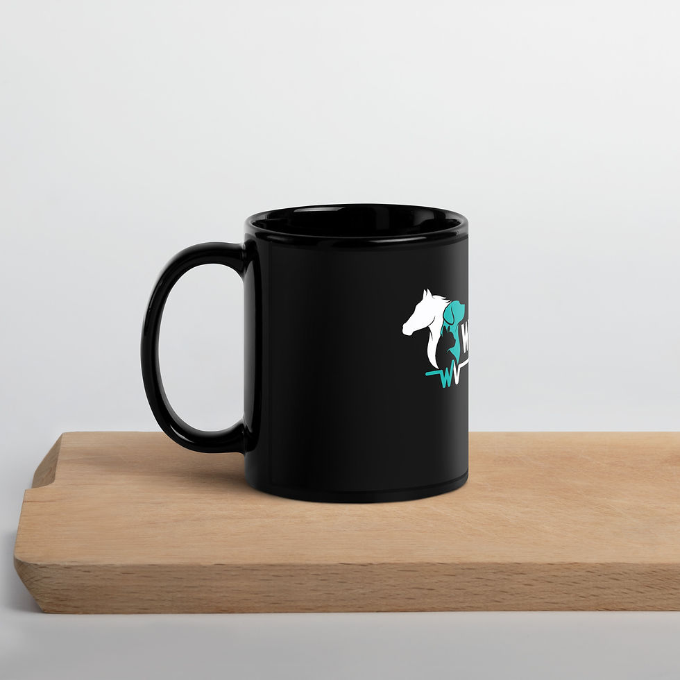 Thumbnail: Black Glossy Mug