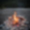 full_res-3615.jpg