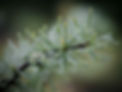 compressed-9070736.jpg