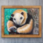 Thumbnail: "Tamanduá" /"Southern tamandua"