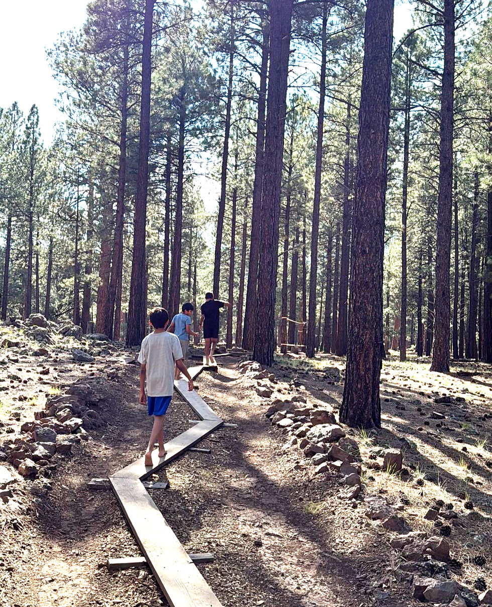 Walking barefoot on uneven, natural surfaces like forest trails stimulates these points, offering not only a soothing massage but also potential health benefits.