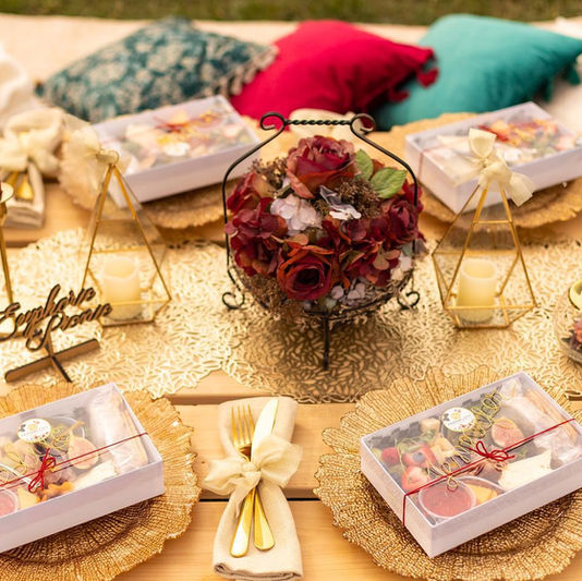 yeg luxury picnic, edmonton luxury picnic 