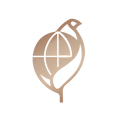 ic02.png