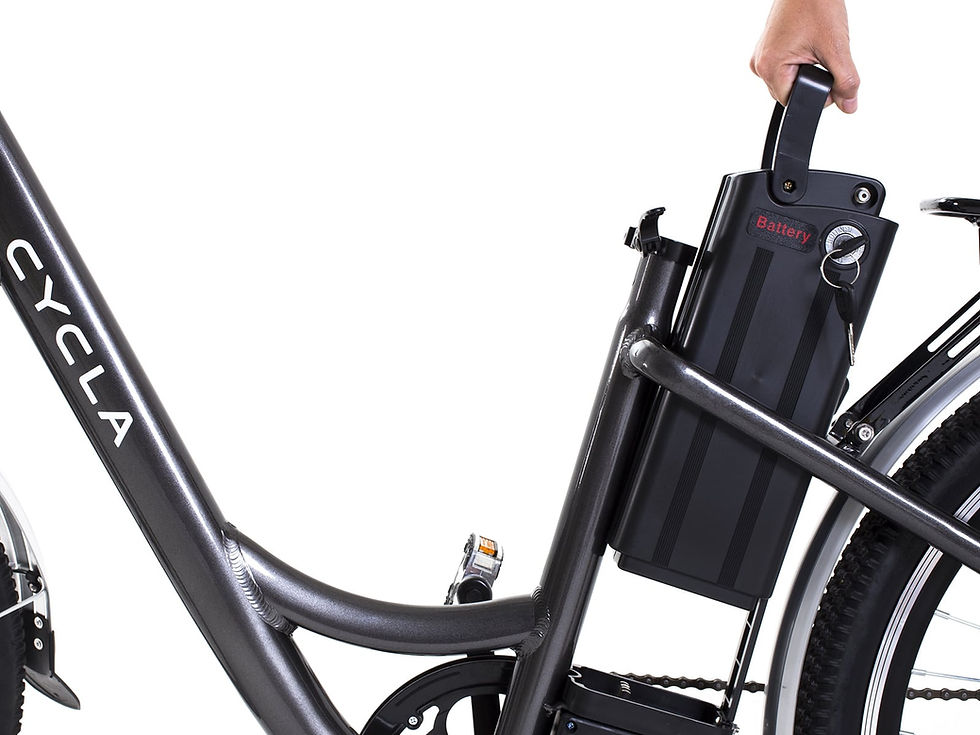 Miniatura: CYCLA PRO+