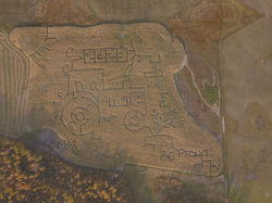 Corn Maze 2023 - Ag Proud Tractor