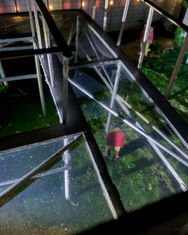 close-up kopiëren.jpg