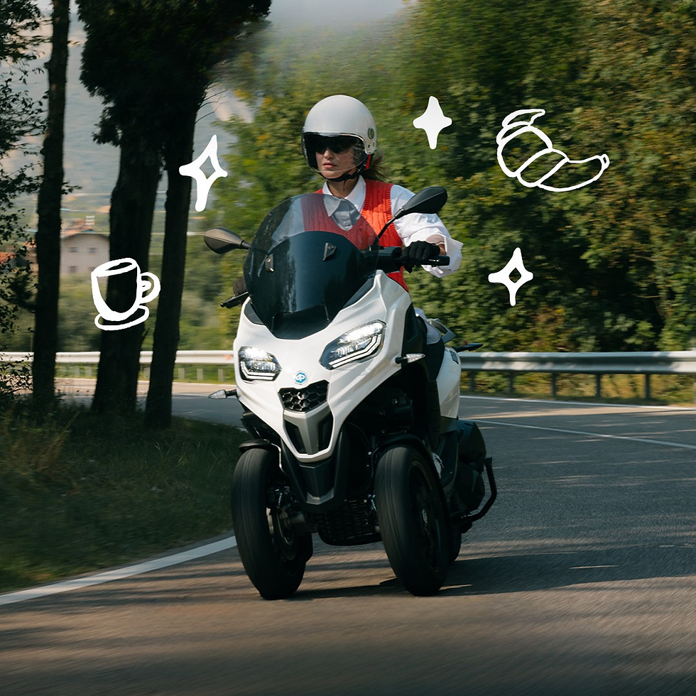 ADS FIORENZI (4).png