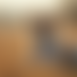 Energetische Tierarbeit Techniken: Tierkinesiologie im Rheintal – Methoden erklärt