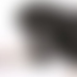 Vor- und Nachteile von Kokos-Schwarzkümmel-Presskuchen oder Ölen