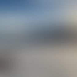 Warum gerade Tierbalance?  