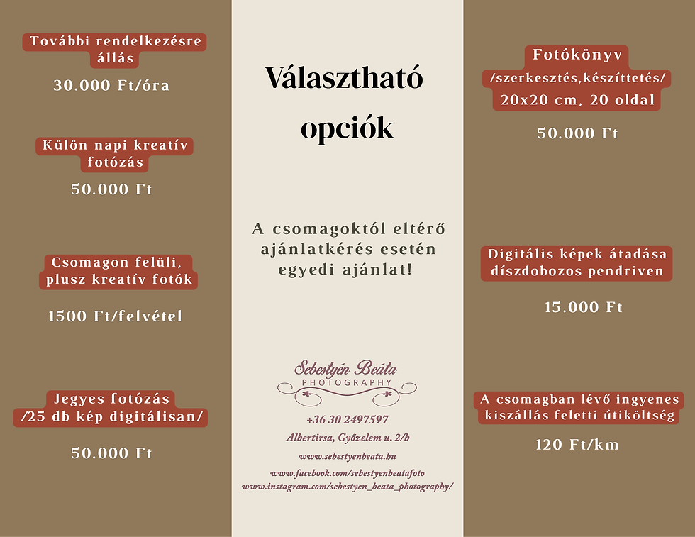 Választható opciók lista árakkal: kreatív fotózás, jegyes fotózás, fotókönyv készítés. Barna és bézs háttér, szöveges tartalom.