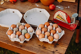 DSCF4635.jpg