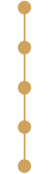 matsui-haruki-career-timeline-transparent.png