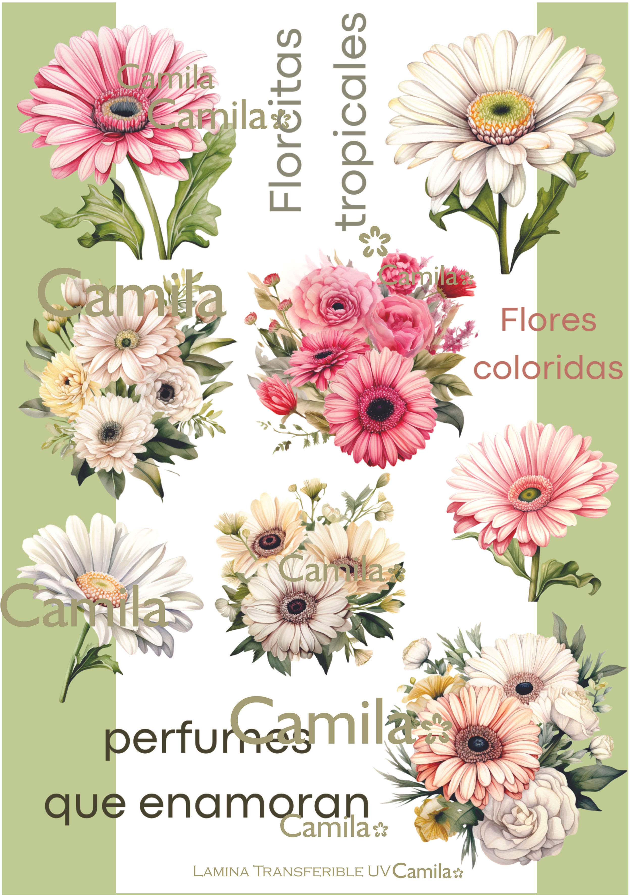 Transferible UV TUV129