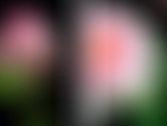 Unser Buchtipp für den Mai