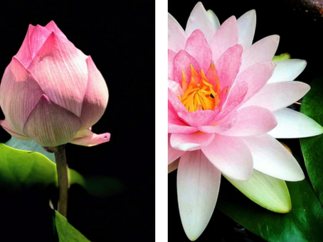 Unser Buchtipp für den Mai