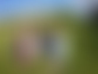 HOW TO VLOG?