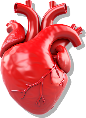 Untitled design (36).png