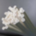 UltraFiltration Hollow Fiber Membrane