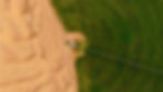 Gulf-nations-want-to-transform-deserts-into-farmlands.-Can-technology-make-that-happen_2.j