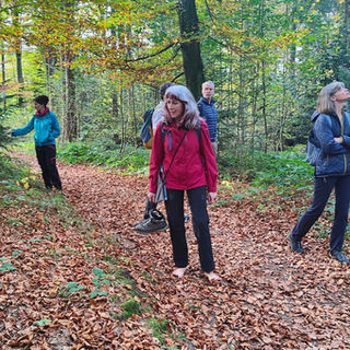 waldbaden 22.10.2-05.jpg