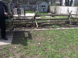 8. Before, shade back garden 2017