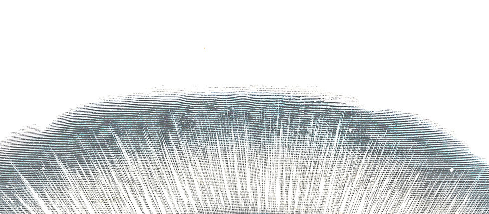 aurora 4.jpeg