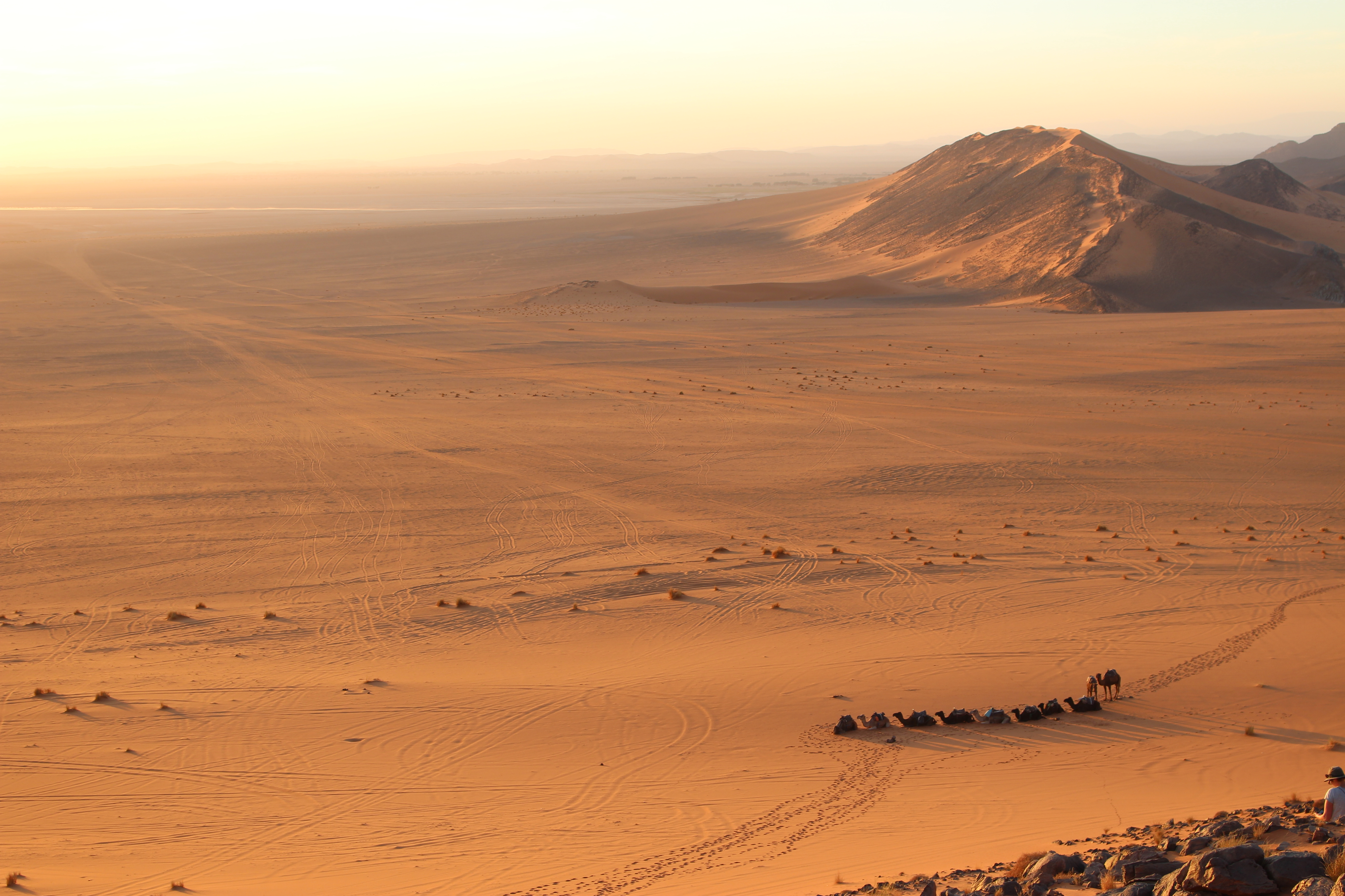 Desert Women Trail