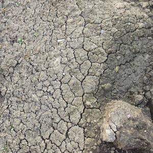 Rock options for your project!