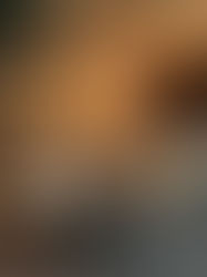 A Gateway to Southern Elegance