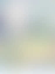 Art Takes Flight: Christy Kinard’s Focused Precision Lands at Hilton Head Island Airport