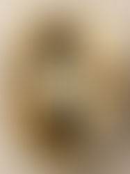 WATCHMAKER OF SHAPES, MASTER OF CRAFTS