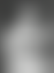 JANE AUSTEN’S FEAST OF WORDS