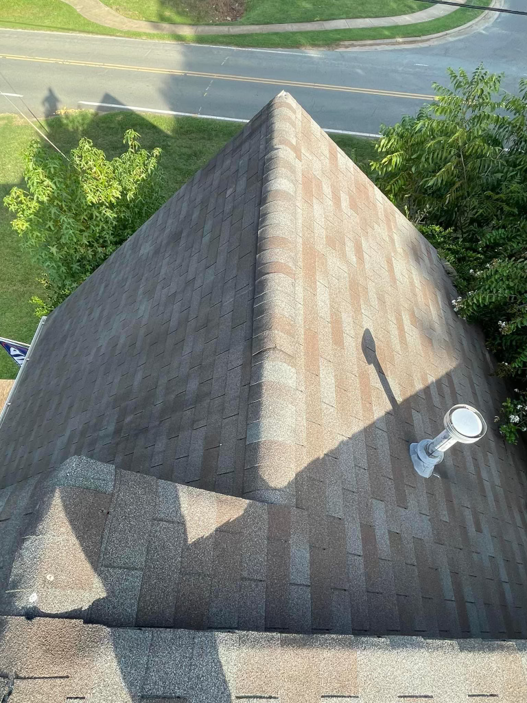 Roof Shingle Before Replacement