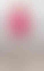 Donna Rubin