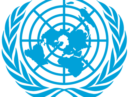 What should we know about the United Nations?