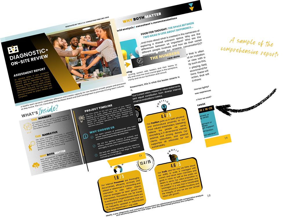 ADDITIONAL WEBSITE ELEMENTS BY PAGE  WHO - WHAT - MERCH - MORE - WHERE - WHY (12).png