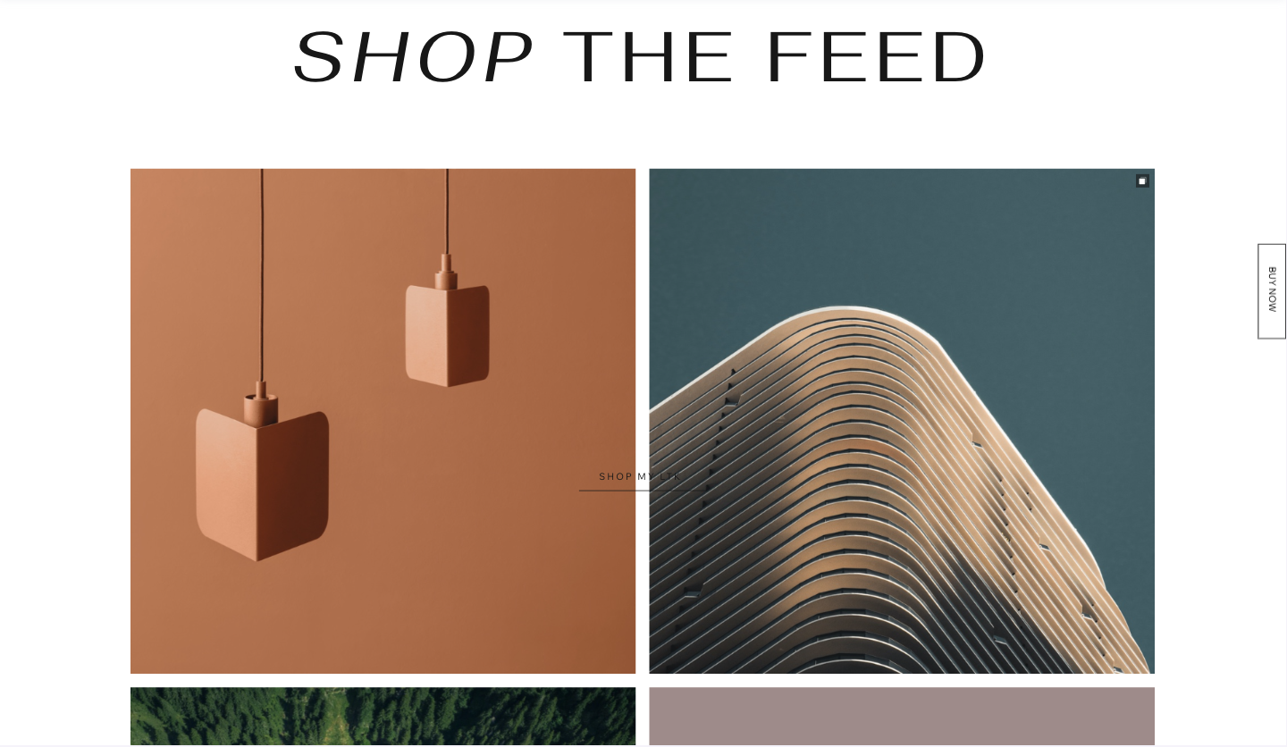 Shop the feed