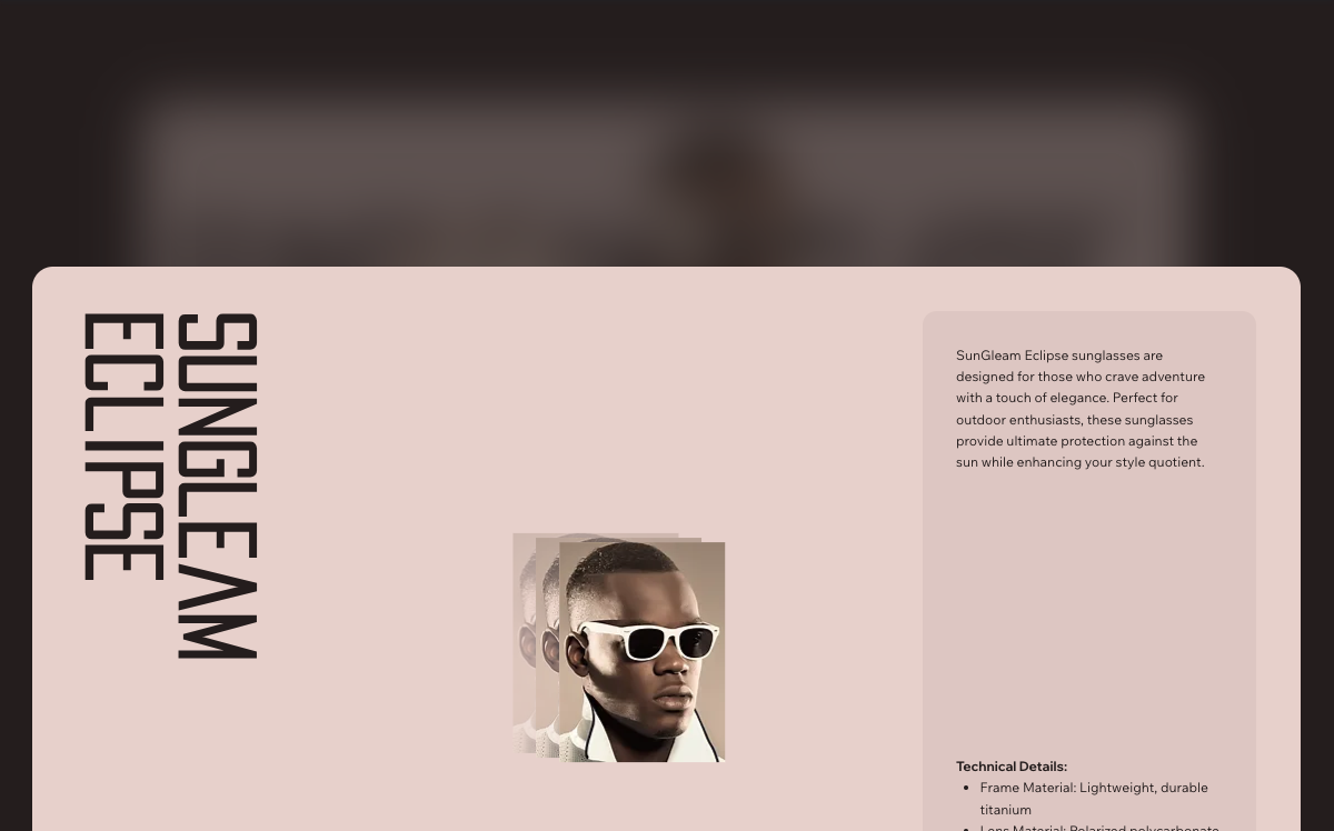 Product Description