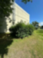 90e8c9fd-0960-4c02-9441-b3c83d8e550f (2).jpeg