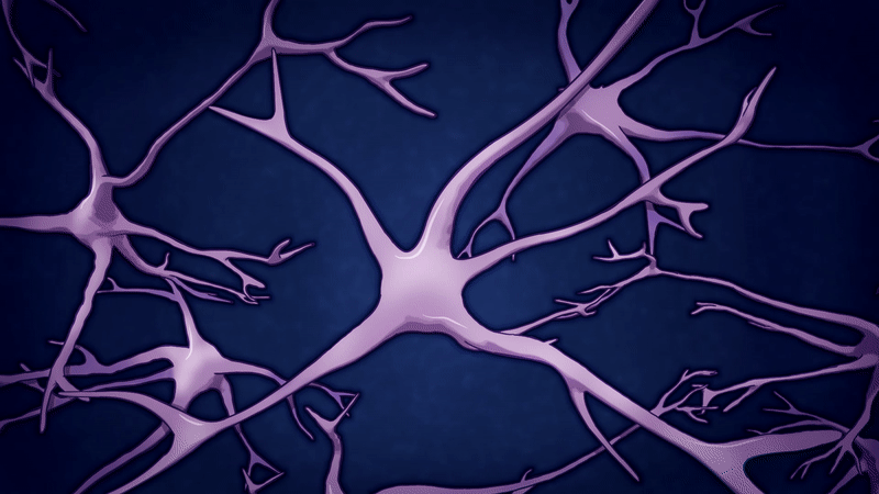Neuron Background