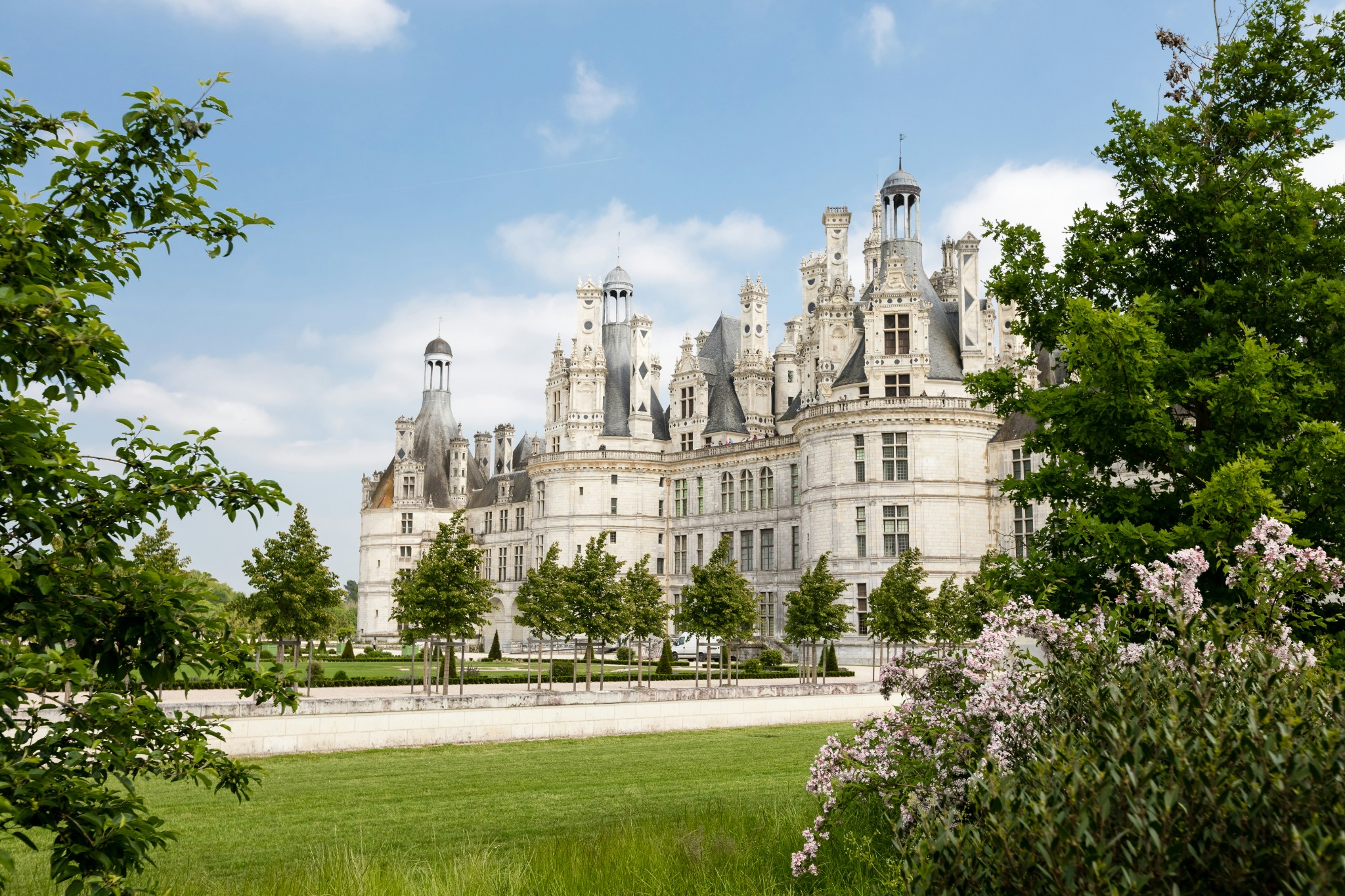 Château de Chambord framed by trees