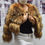 Miniature : Faux Fur Coat Women's Jac