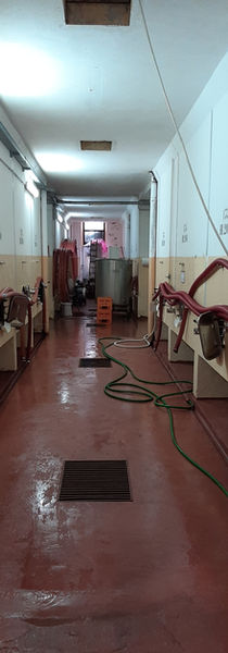 Mandrolisai DOC Sardegna Cannonau Vermentino