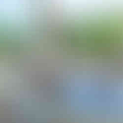 L'Astemia Pentita wine glasses with view on langhe Barolo landsape